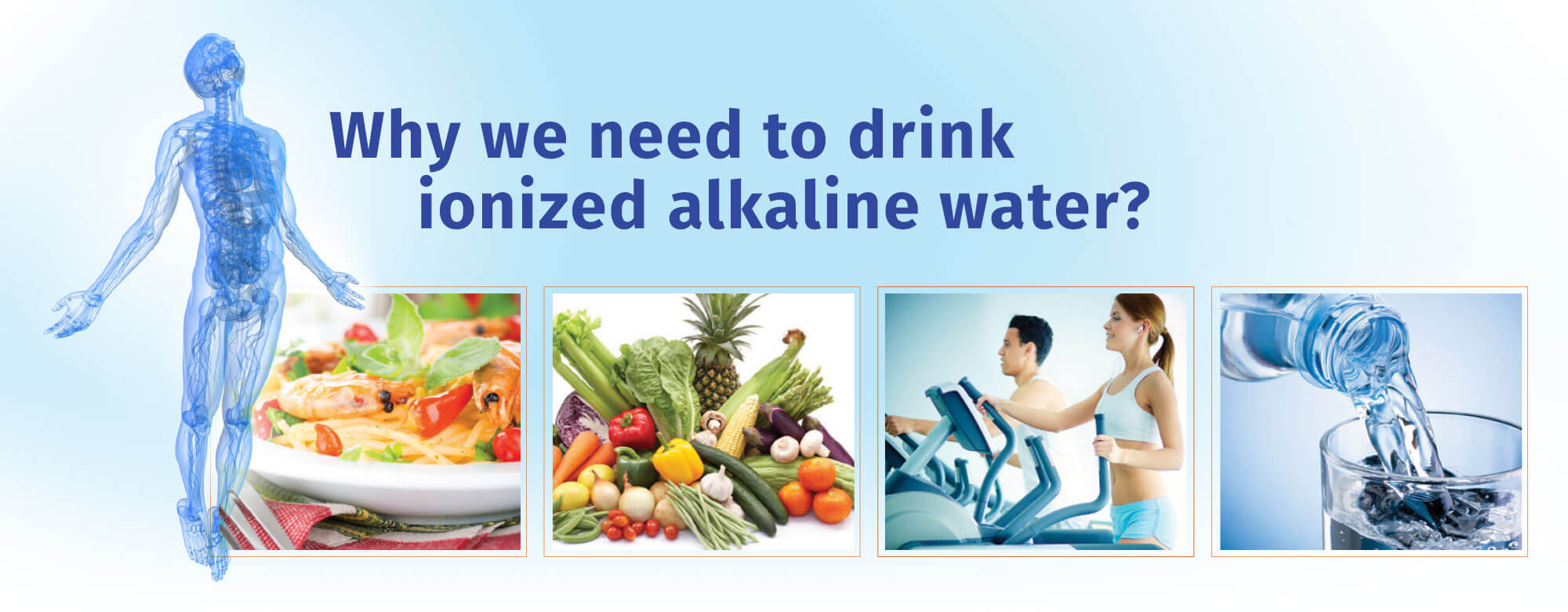 About Alkaline