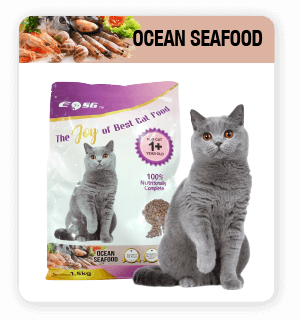 Cat Food Seafood