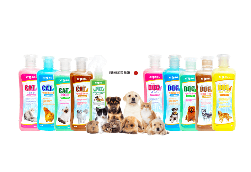 Cats & Dogs Shampoo